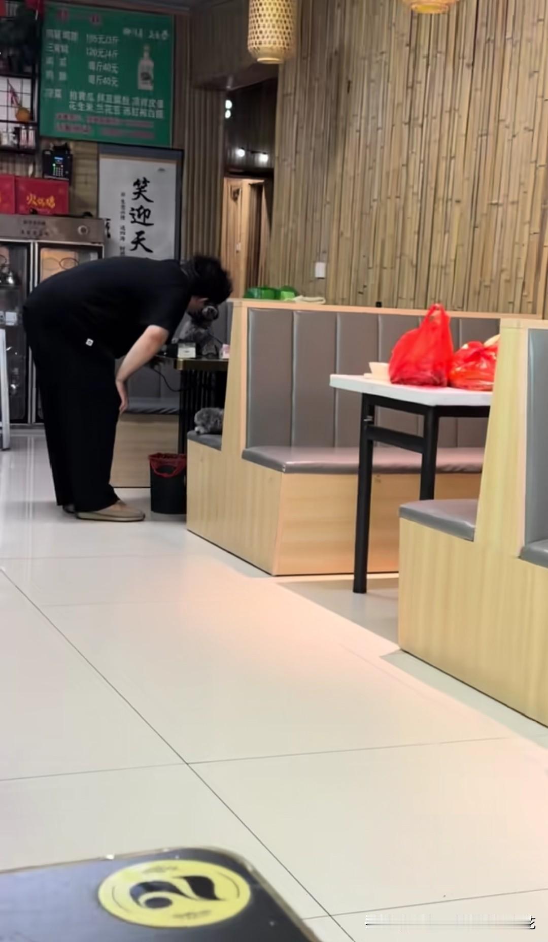 河北这家豪客来牛排店还能去吗，又是狗上桌，桌上一只，椅子一只，无人劝阻，甚至还被
