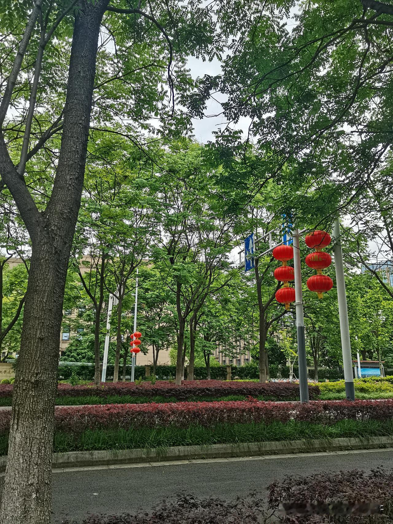 被装修公司全屋定制的围追堵截

拿到钥匙从物业往回走，乎一下子围上来一帮中年男男