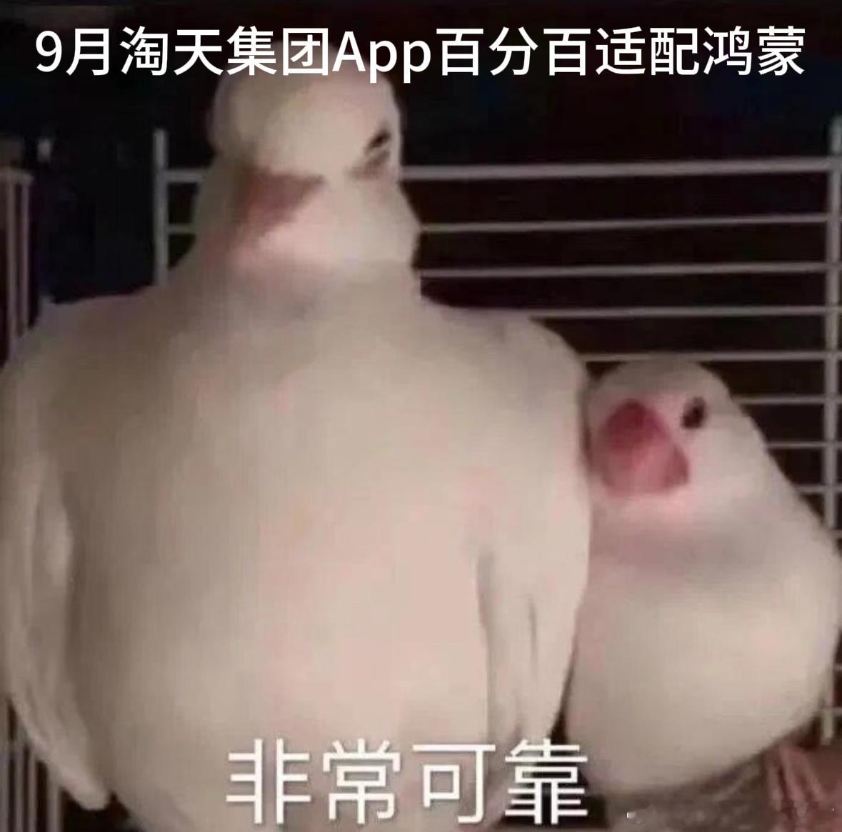 淘宝天猫9月百分百适配鸿蒙太好了能赶上双十一了[努力]这次一点都不耽误我买买买 
