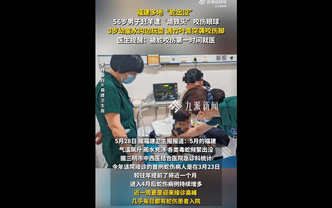 2026年5月，福建三明气温升高、降雨增多，毒蛇进入活跃高发期，当地医院近期每日