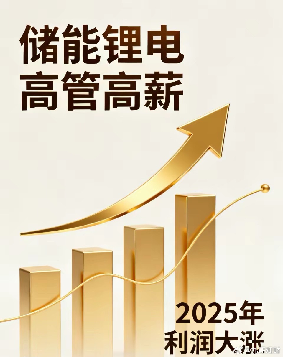 炸锅！储能锂电高管人均年薪207.6 万直接跻身 A 股顶级高薪梯队，比肩金融硬