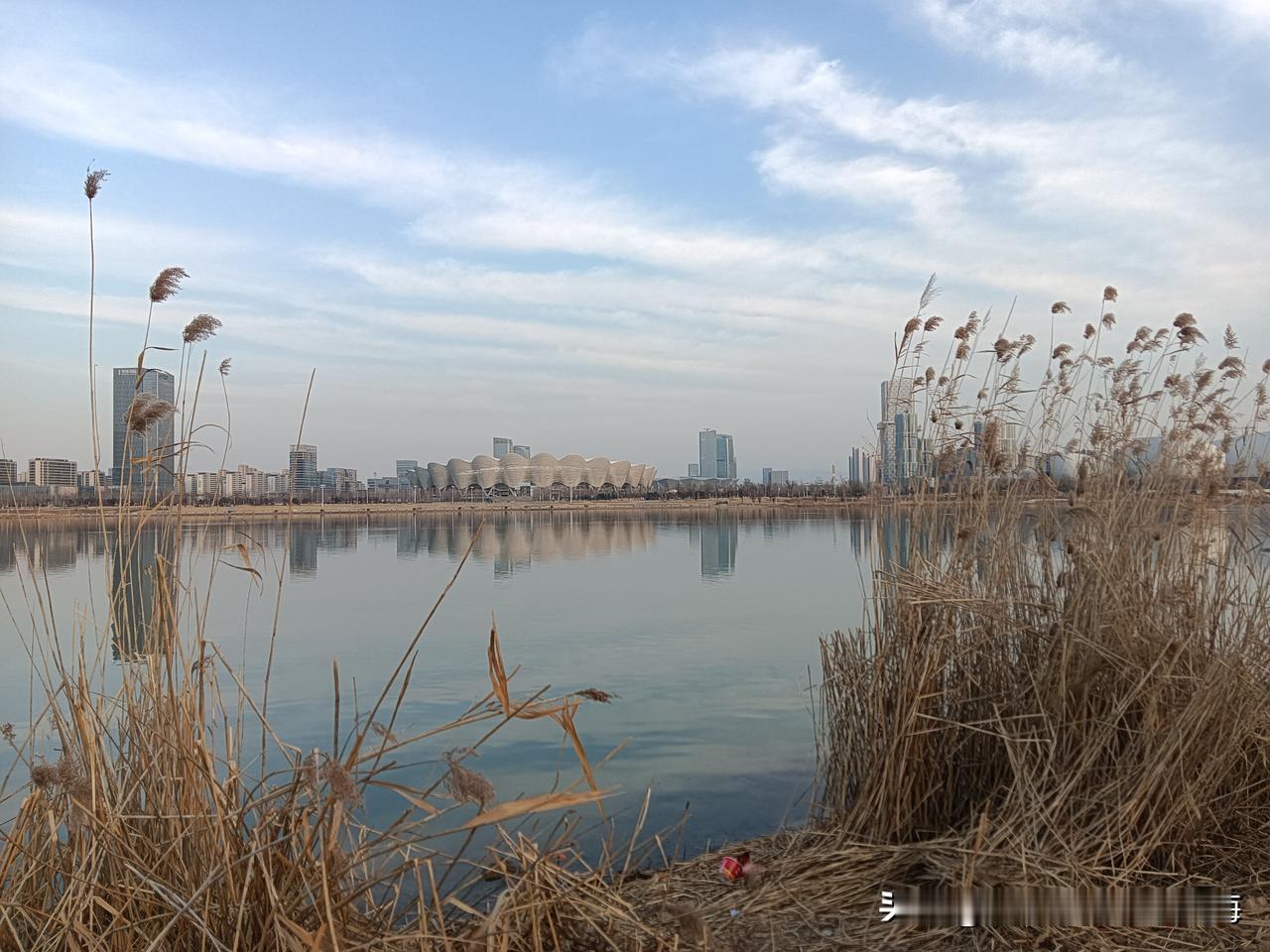 今天下午我乘坐315路公交车从马家湾的泾渭回西安路过“长安书院”的时候，临时起意