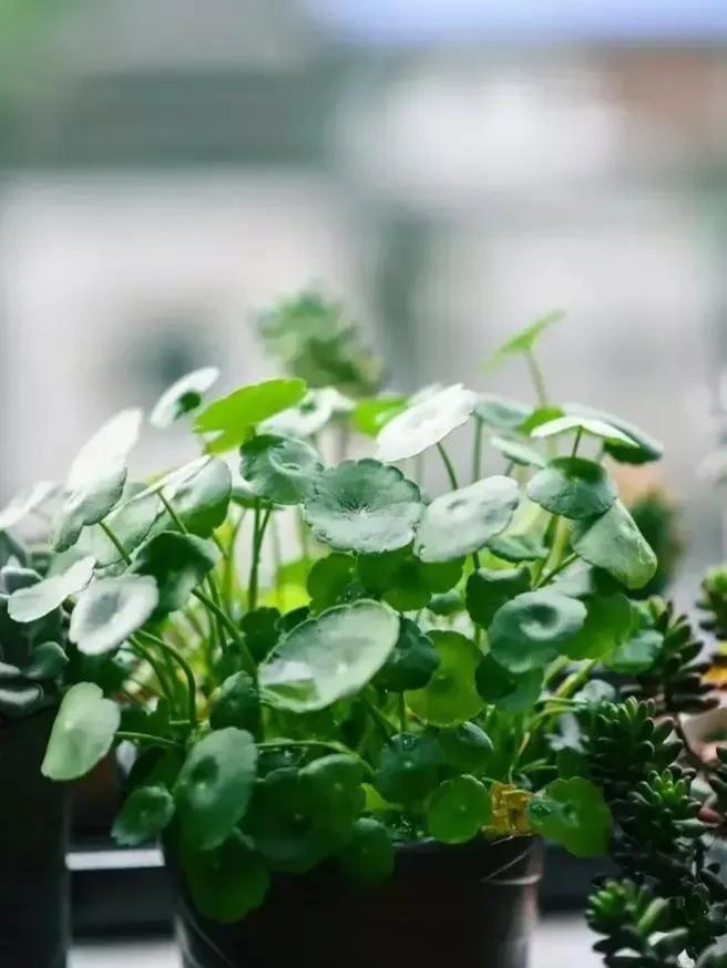 好想辞职，实在干不下去了，
每月工资2800元，五险一金，双休，法定节假日
都放