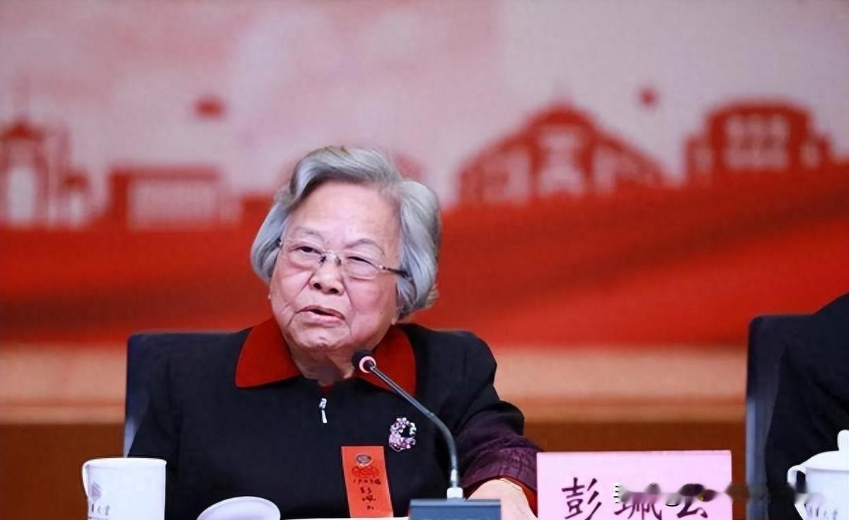彭珮云为我国带来了四大卓越贡献，每一项都紧密关联国家发展与民生关切，究竟有哪些变
