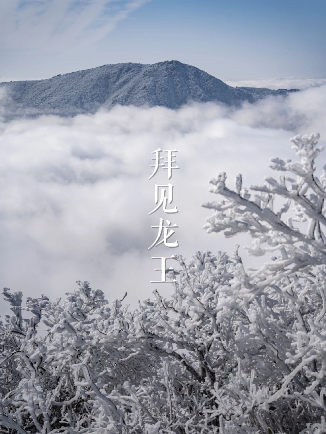 “云海之上，拜见龙王”