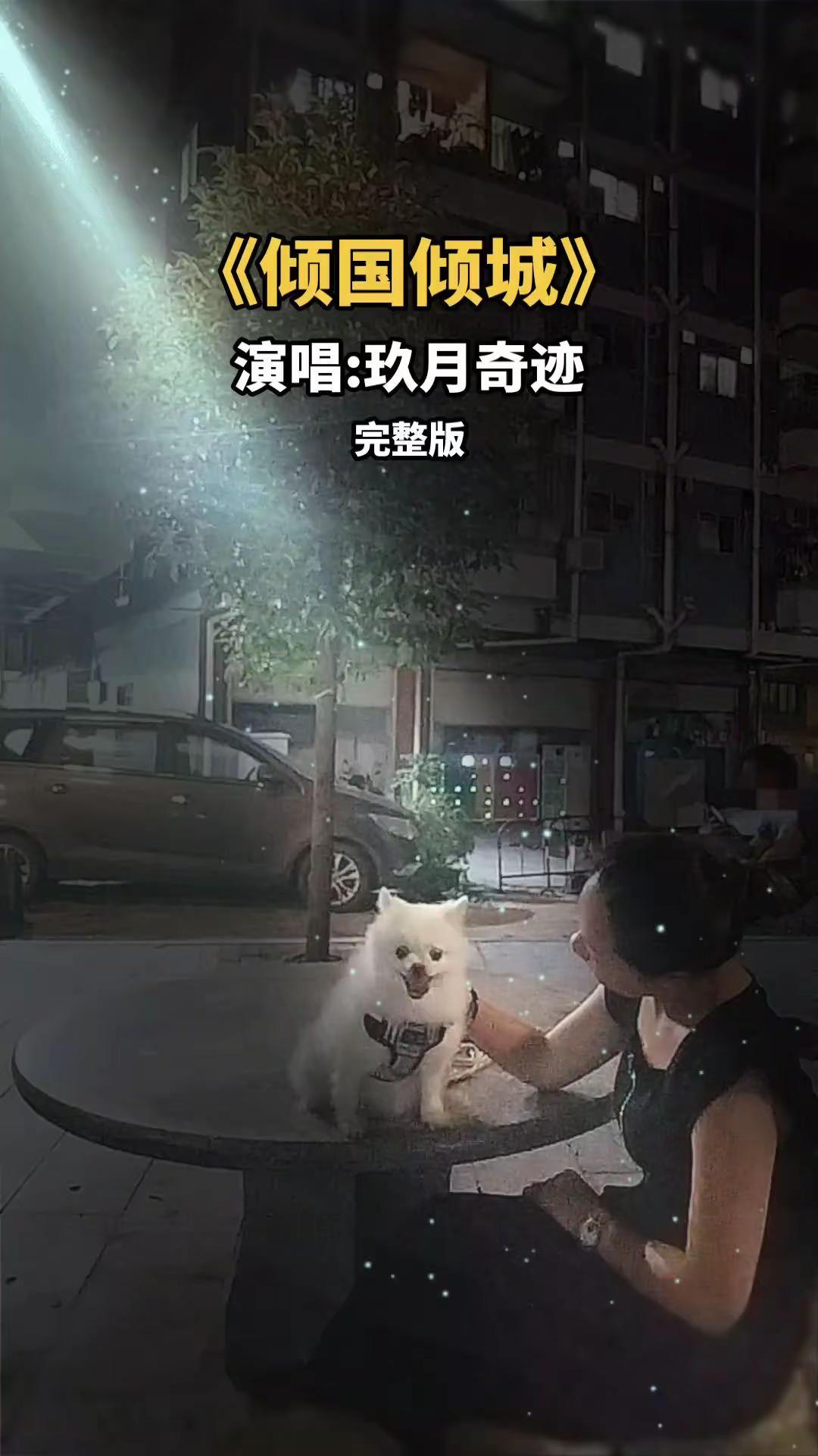 原来爱意本无需惊天动地，入目皆是你，便胜却人间无数...