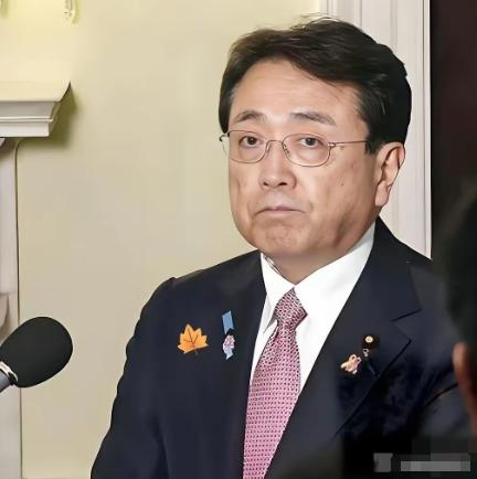 日本这回真急了！
3月13日，日本经济产业大臣赤泽亮正突然表态，说私营企业正在拼