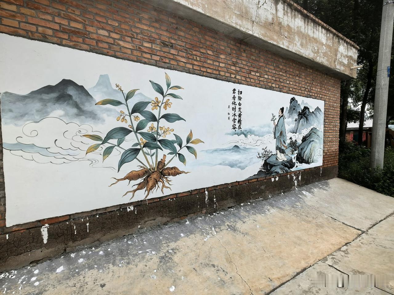 农村宅院墙面上画的中医药主题的“宣传画”。