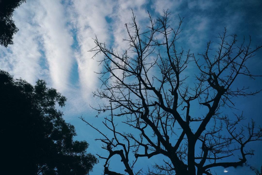 蓝天白云的每一天，广州黄埔户外行广州乡村记录生活 松下S9 叙21 3.5 广州