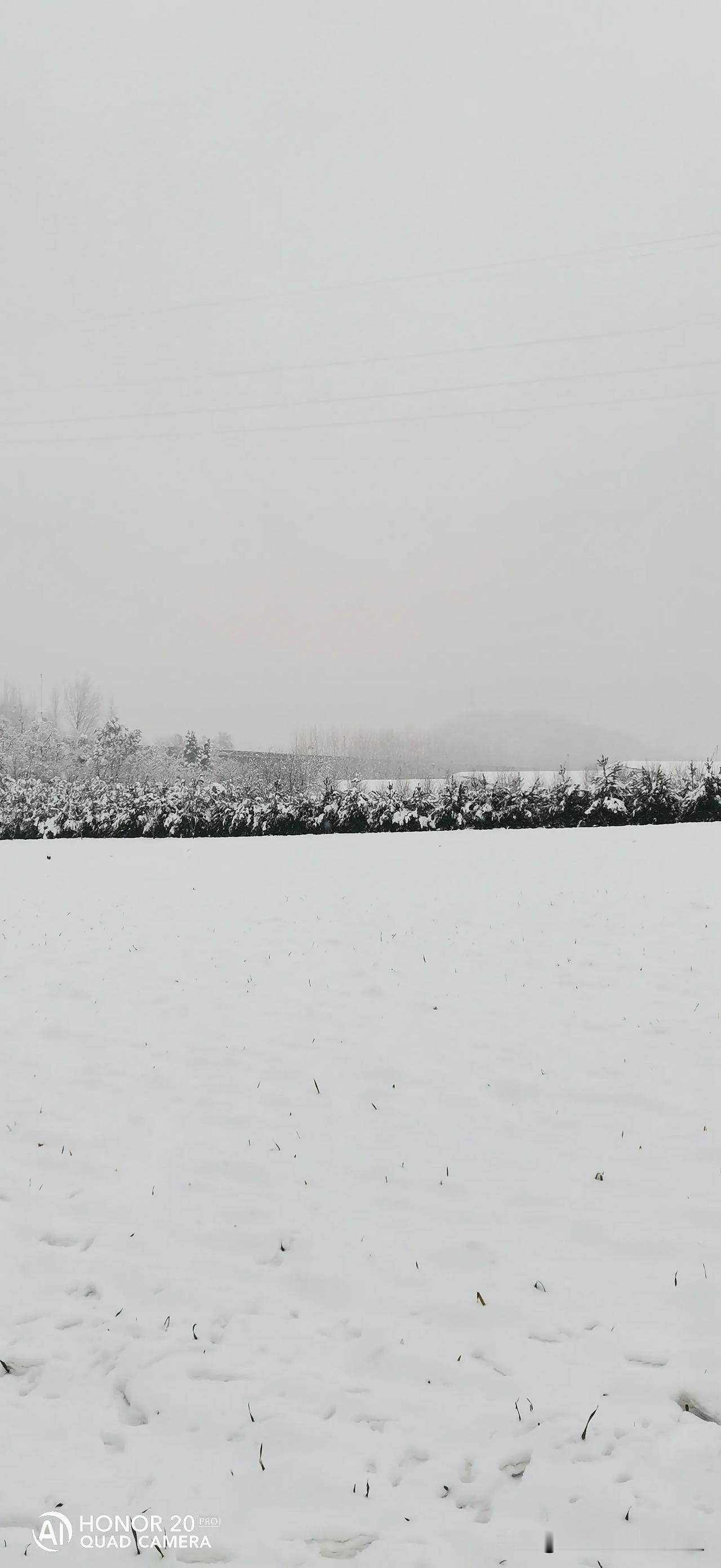 陕西省关中东部终于来了一场及时雪，瑞雪兆丰年，五谷丰登，蛇年大吉，愿一切美好。