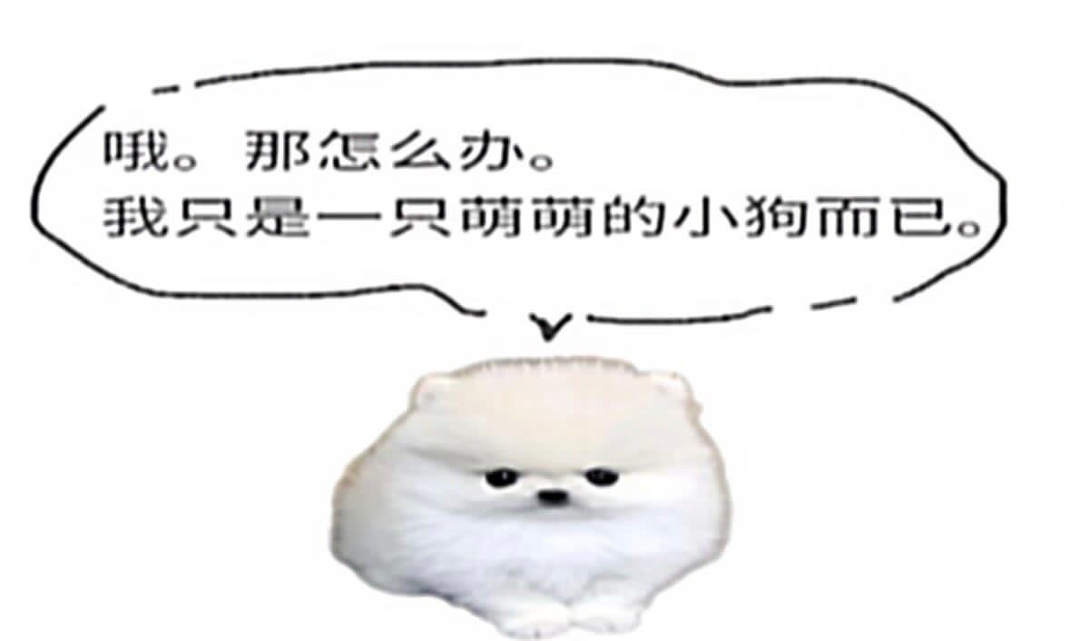 仅此而已 