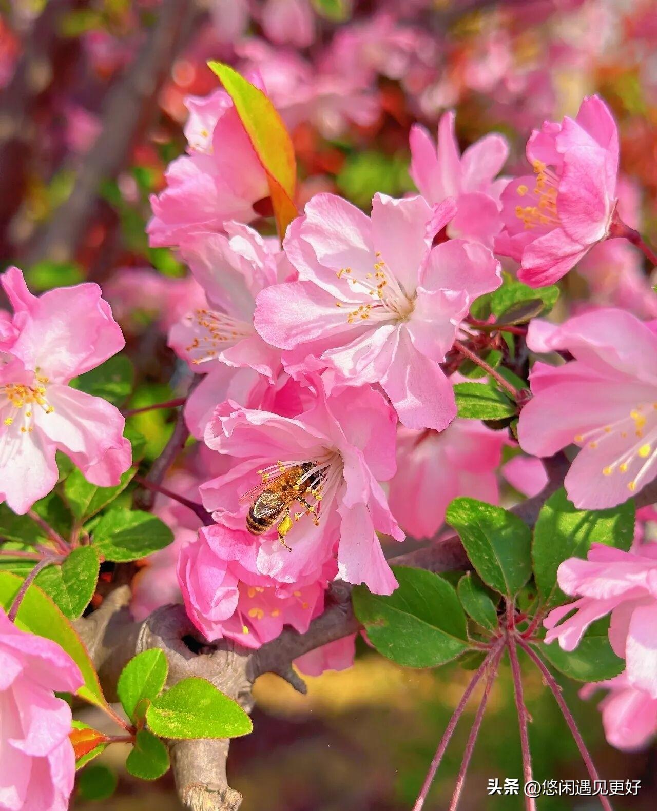 妈妈的妈妈，我们这边都叫姥姥。小时候放假了去，就第一时间去姥姥家。总觉得姥姥家比