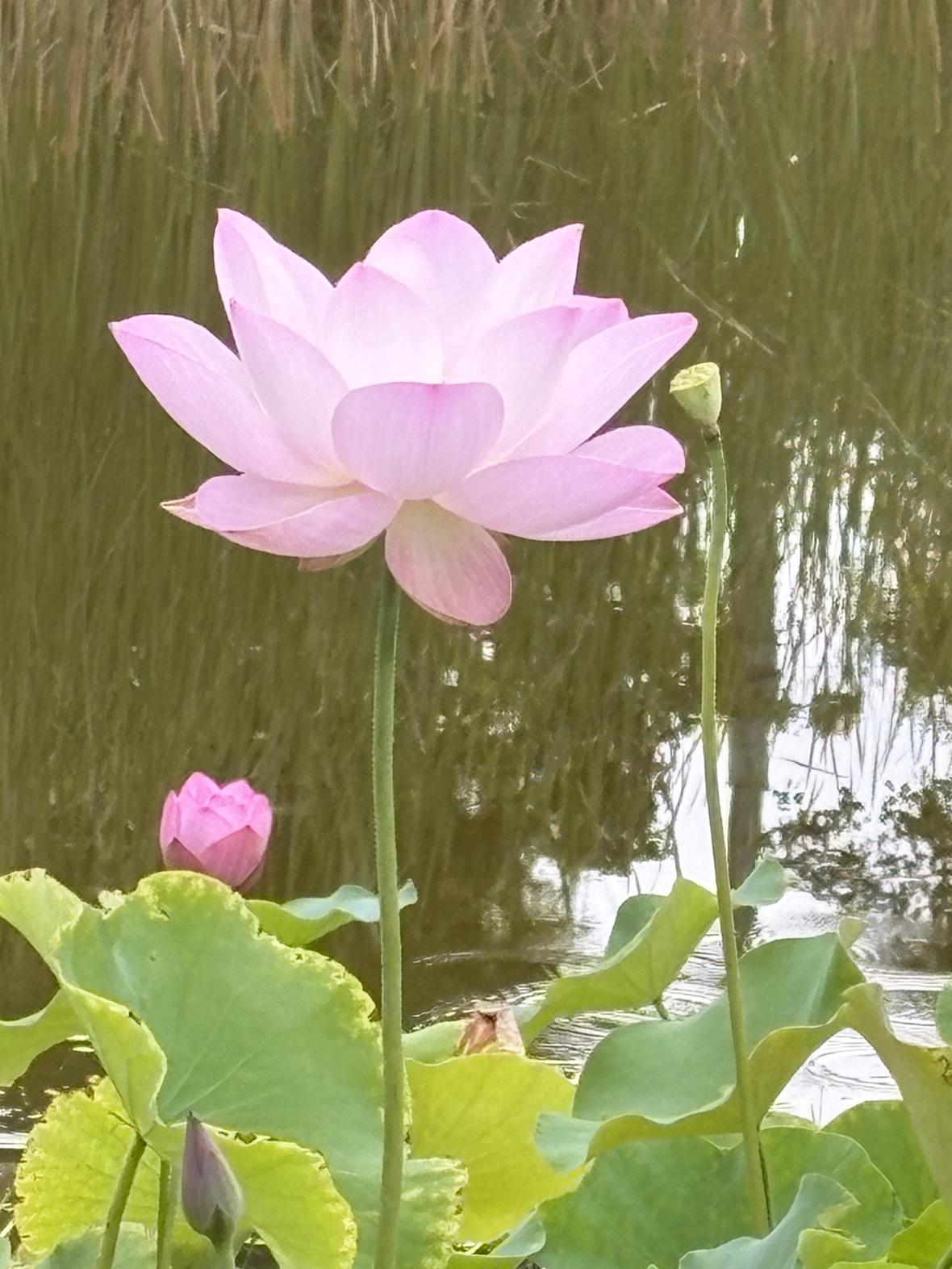 我的今日状态：😁轻松愉快
我这里的天气：☀️晴天