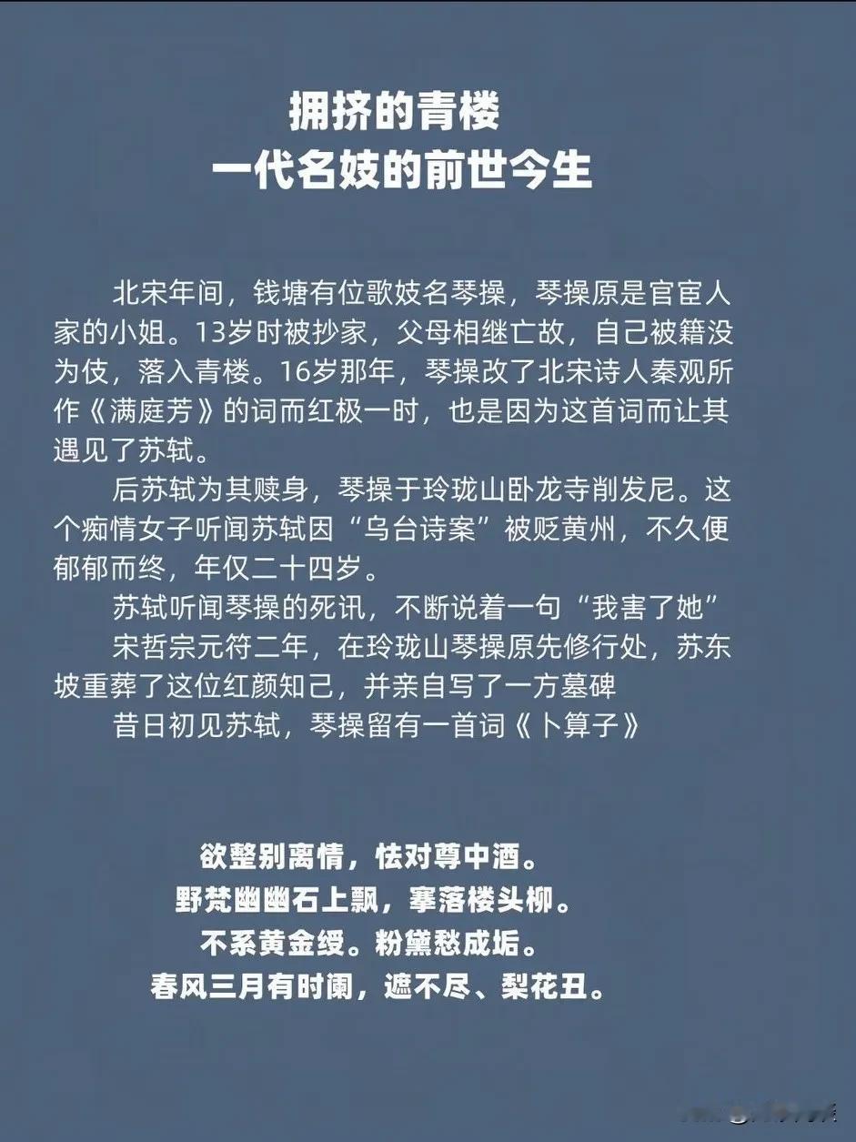 真有琴操啊，苏老夫子这一生说实话尽管颠沛流离贬谪多地，其实也不亏哦，当年多少才貌