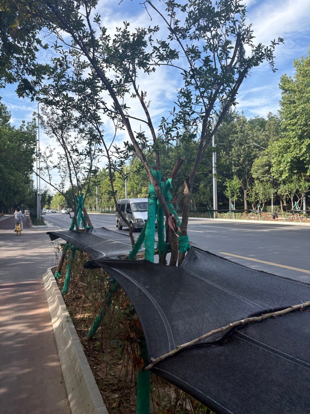 如果路上的驾驶者在看手机睡大觉移动办公，你还敢上路吗？智驾为什么没给人足够的安全