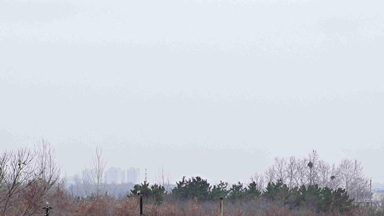 我的今日状态：😁轻松愉快
我这里的天气：☀️晴天