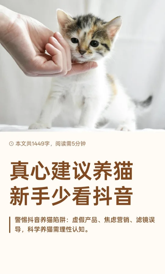 真心建议养猫新手少看🙅🏻‍♀️