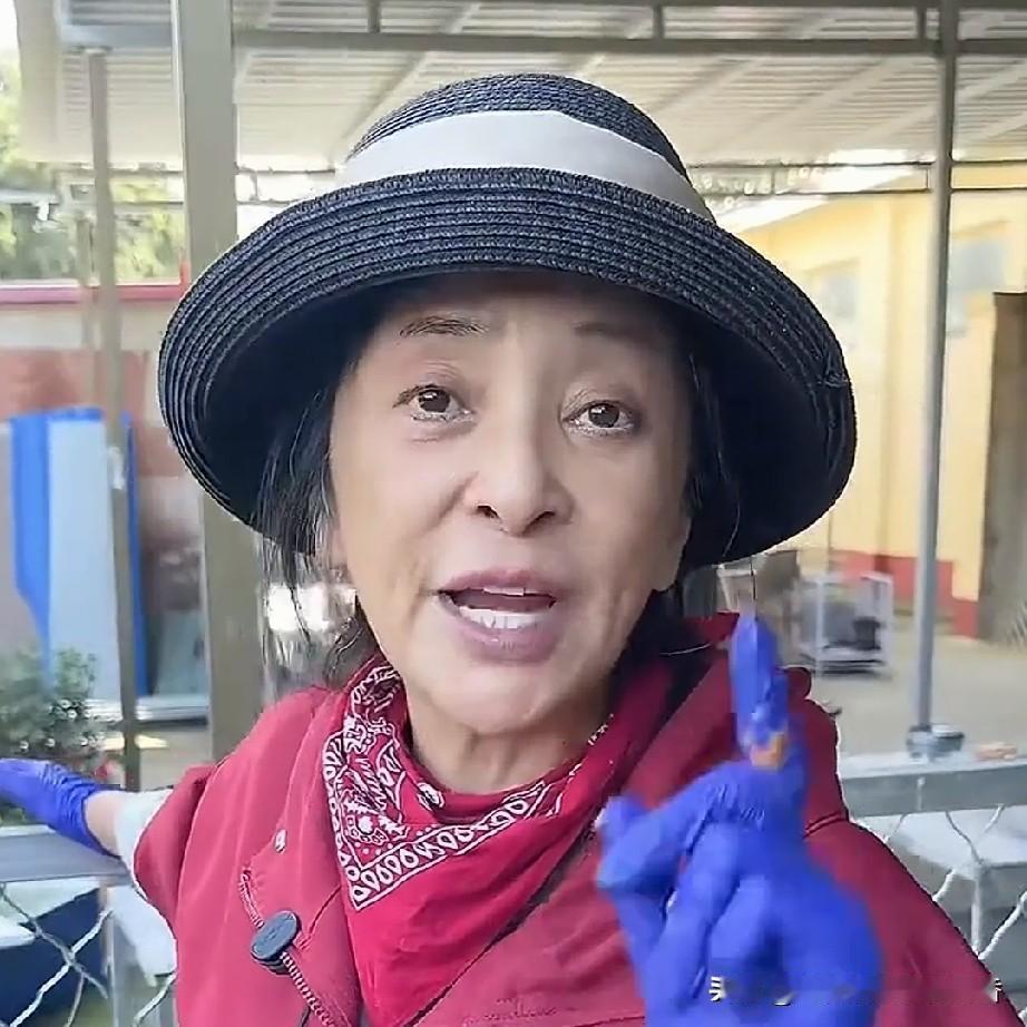 演员李勤勤又来到了她的流浪狗养殖基地看望她的这些毛孩子了，李勤勤由于忙着拍戏，已