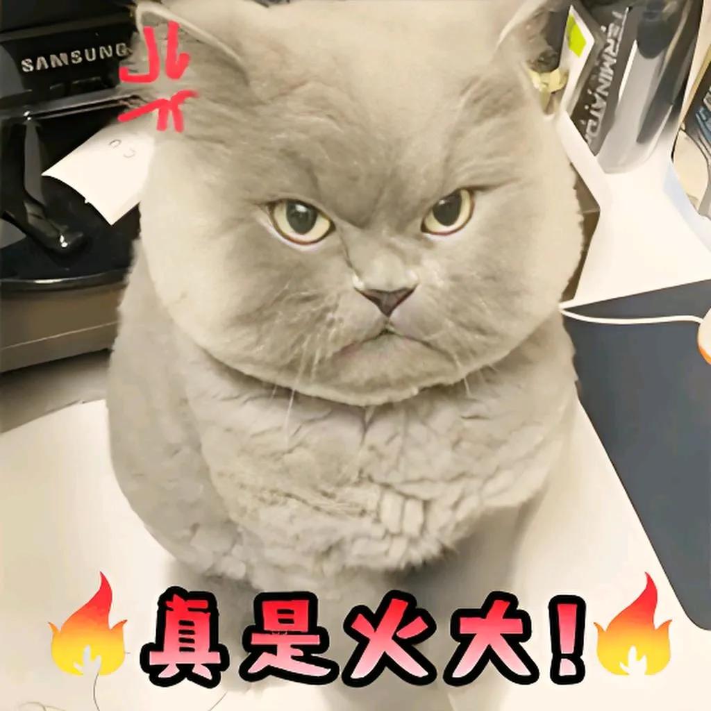 我的文章就因为一句话引起轩然大波，一下就火了。[捂脸]还引起了群殴，有的友友直接