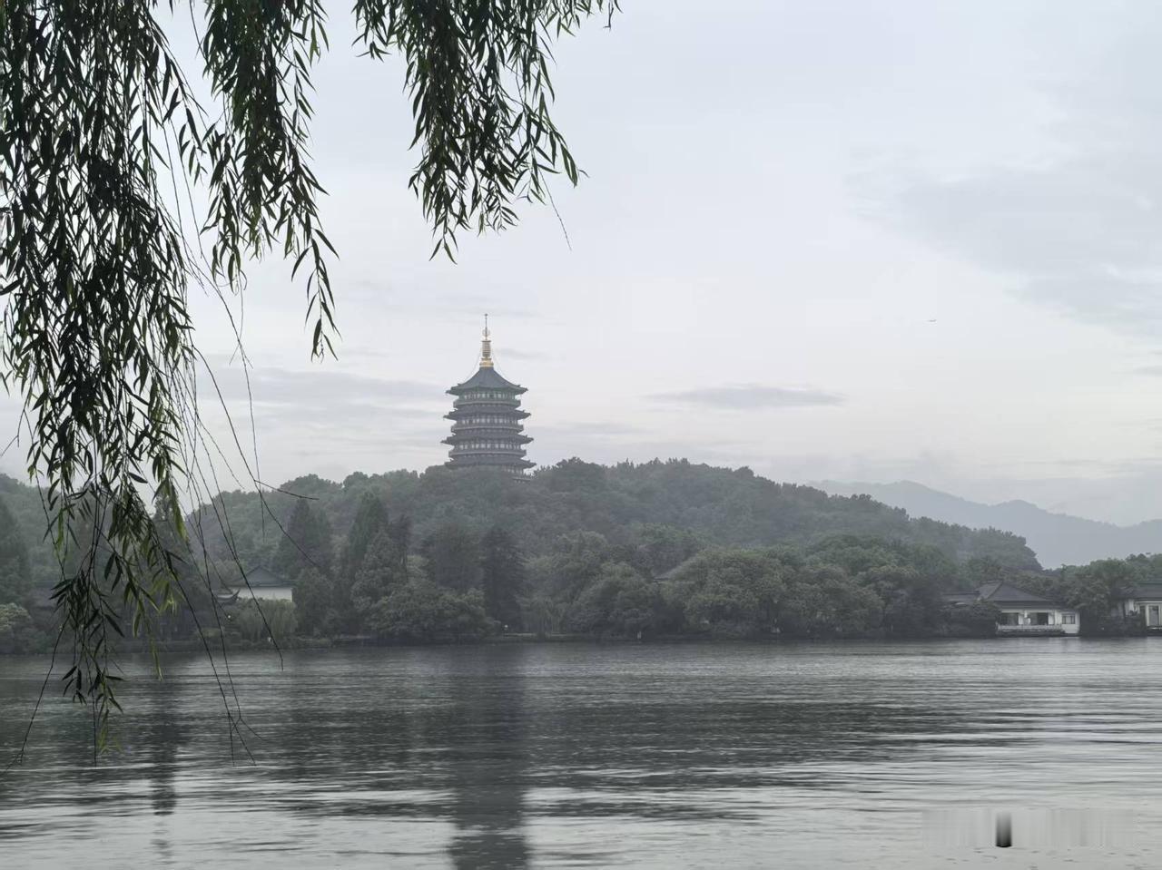 足协不认董璐，歌唱界不认刀郎，相声界不认郭德纲，教师队伍不认张雪峰，商业界不认于