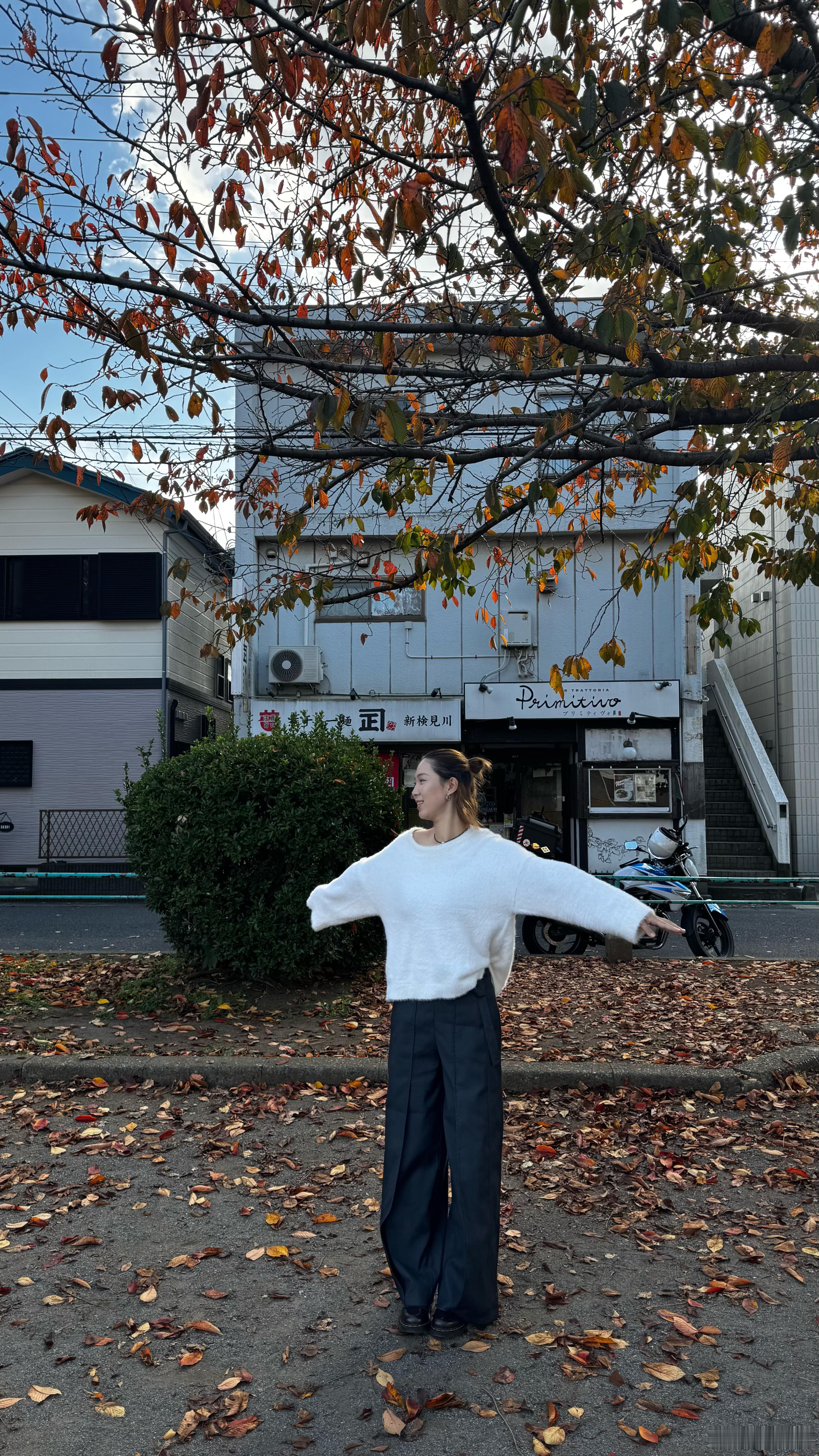 秋意浓（虽然已入冬 