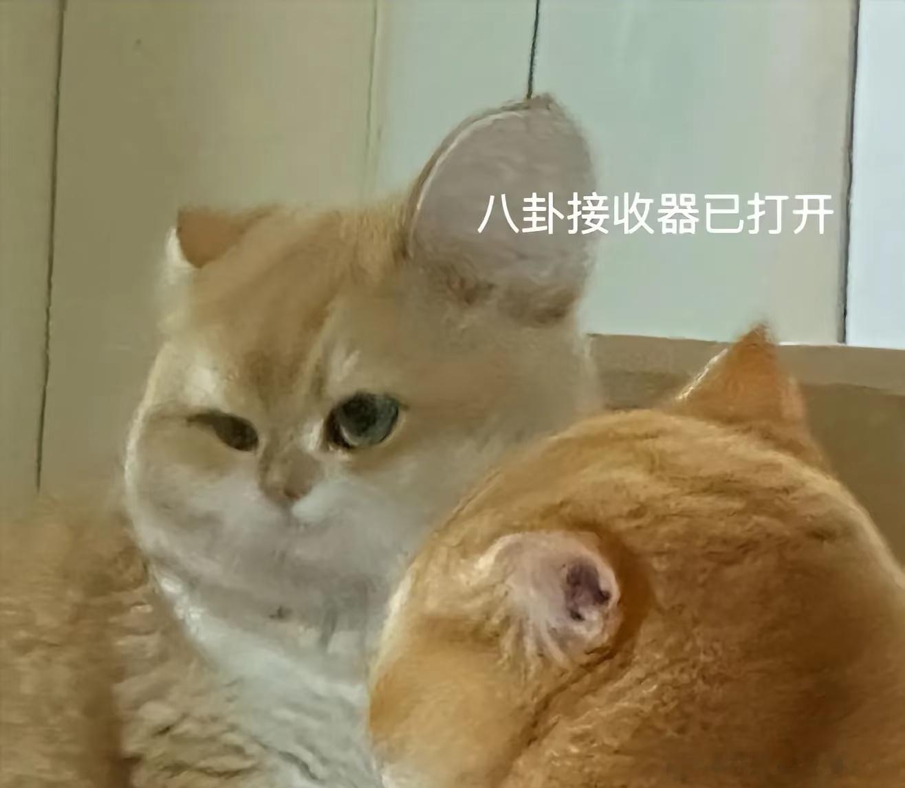 舒肤佳 李昀锐 吃瓜，李昀锐粉丝丁禹兮粉丝怎么吵起来了[吃瓜] 