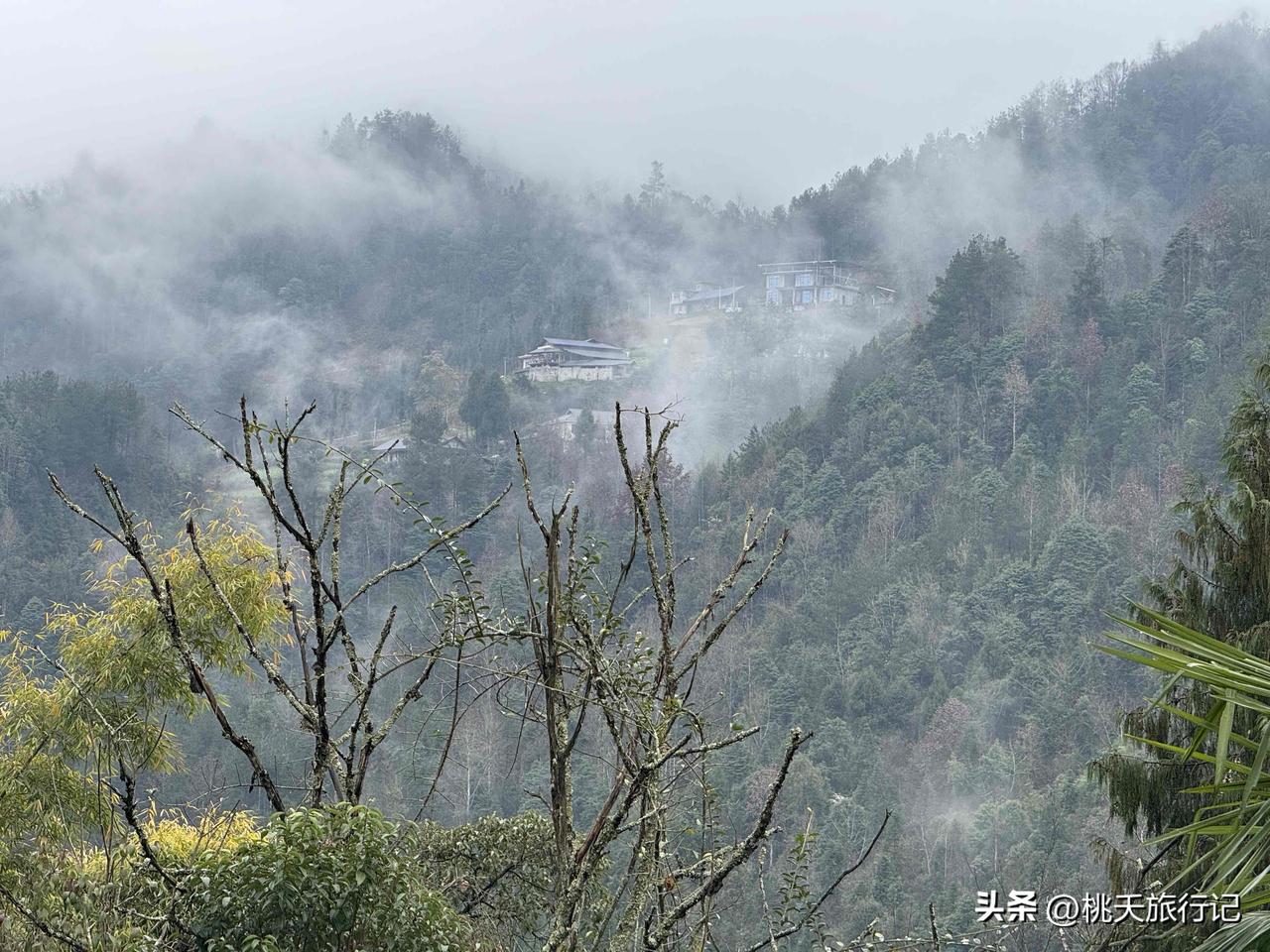 集卡点灯领现金我正在参加集卡点灯分20万春节活动。集卡点亮灯笼，可获得现金奖励，