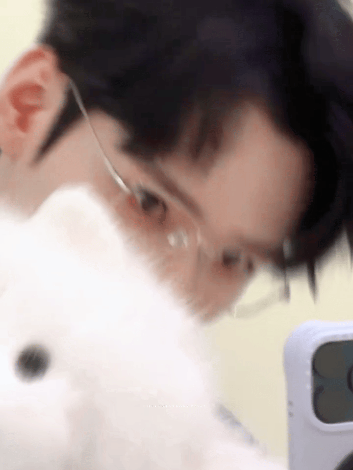 ૮⁔ .   ̫ . ⁔ა 