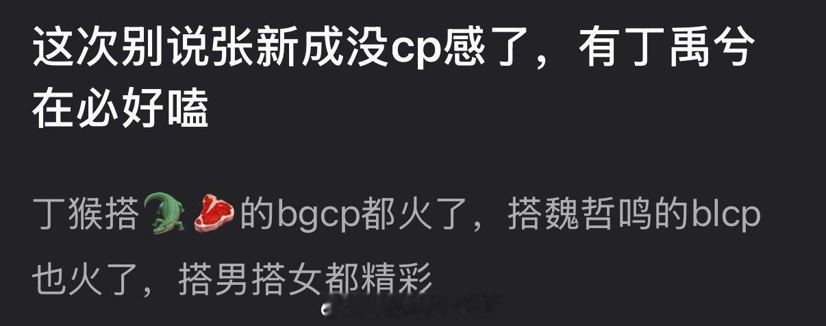 有网友说这次的南部档案别说张新成没cp感了，有丁禹兮在必好嗑，毕竟他搭男搭女都精