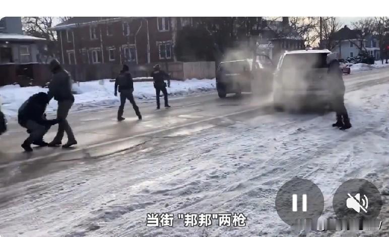 有人说，美国ICE沿街杀死手无寸铁的妇女就像宰只小鸡，他们的骄横犹如明朝的锦衣卫