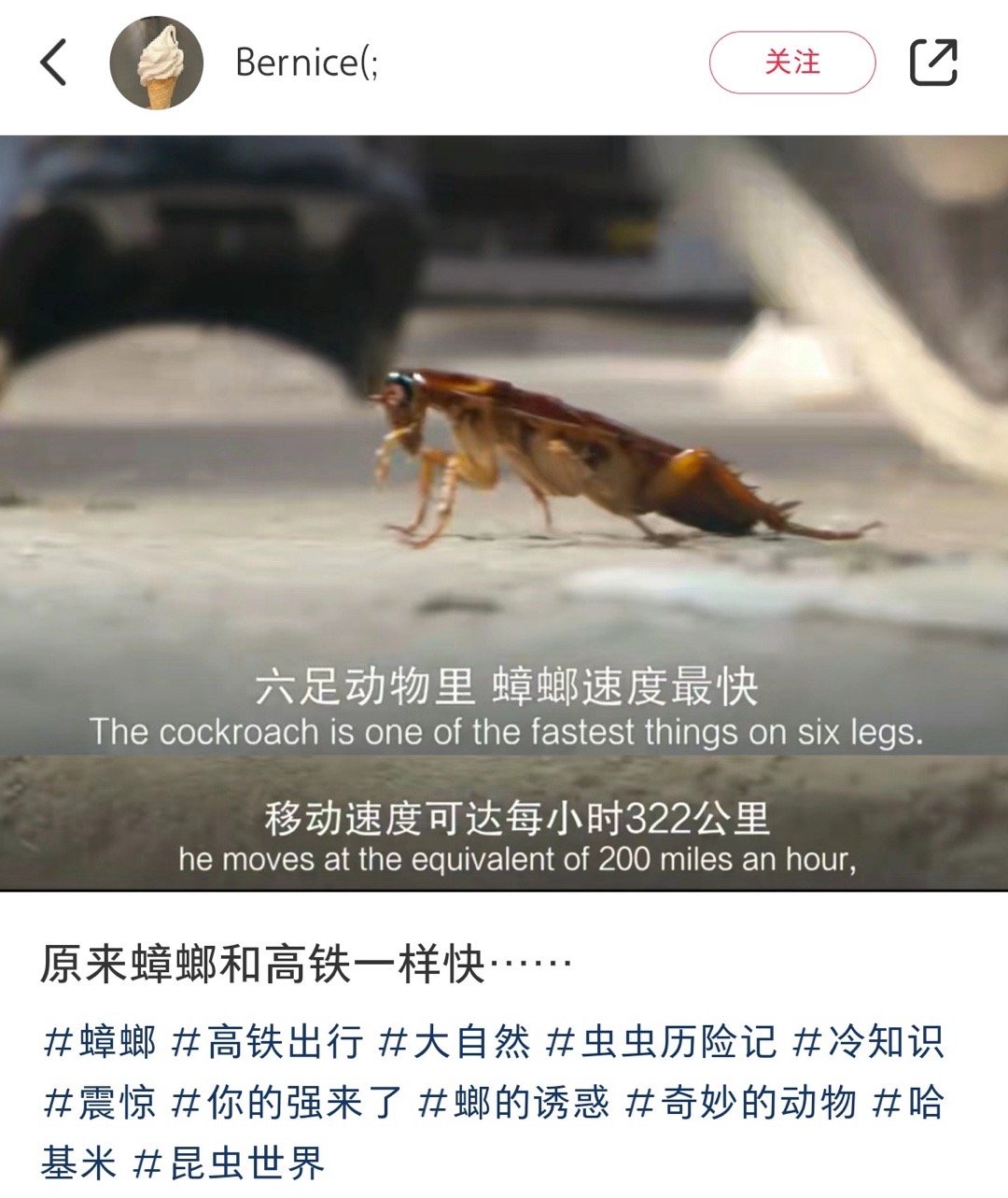 广东拥有全国最多的高铁 ​​​