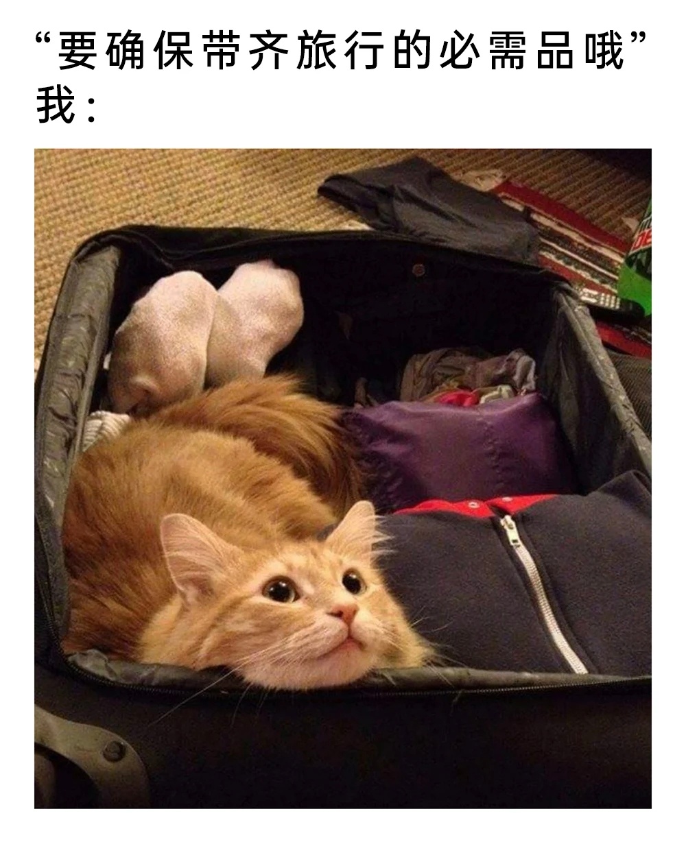 嗷呜 ​​​
