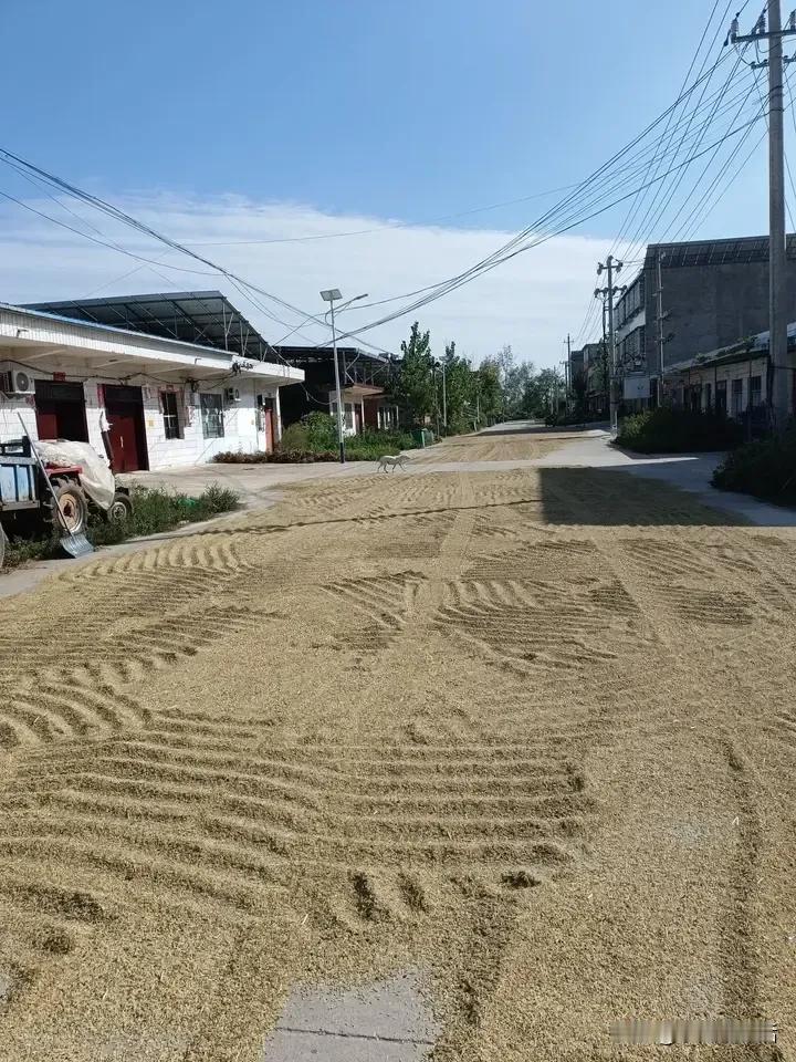 三叔回来了，半年多没见，感觉三叔变瘦了。自从三婶去世后，三叔就出去打工去了，在工