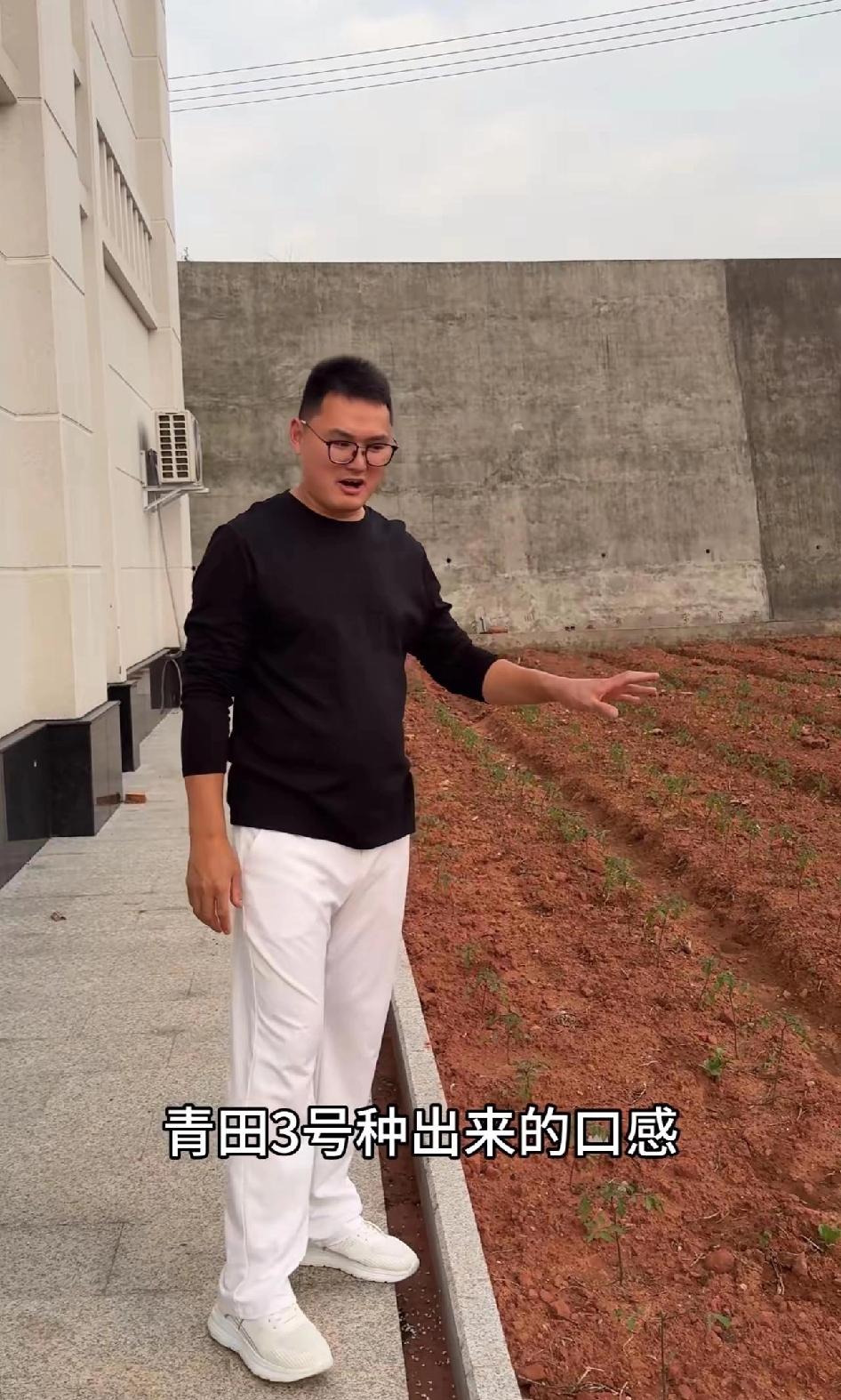 看到小二娃与小妹儿离婚后重新振作起来了，默默耕耘自己的一方净土，总会有人喜欢看三