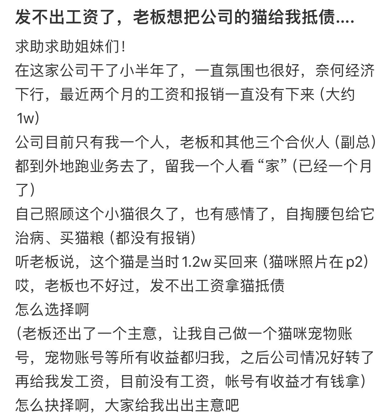 发不出工资老板想把公司猫抵给我  发不出工资老板想把公司猫抵给我，我该怎么选..