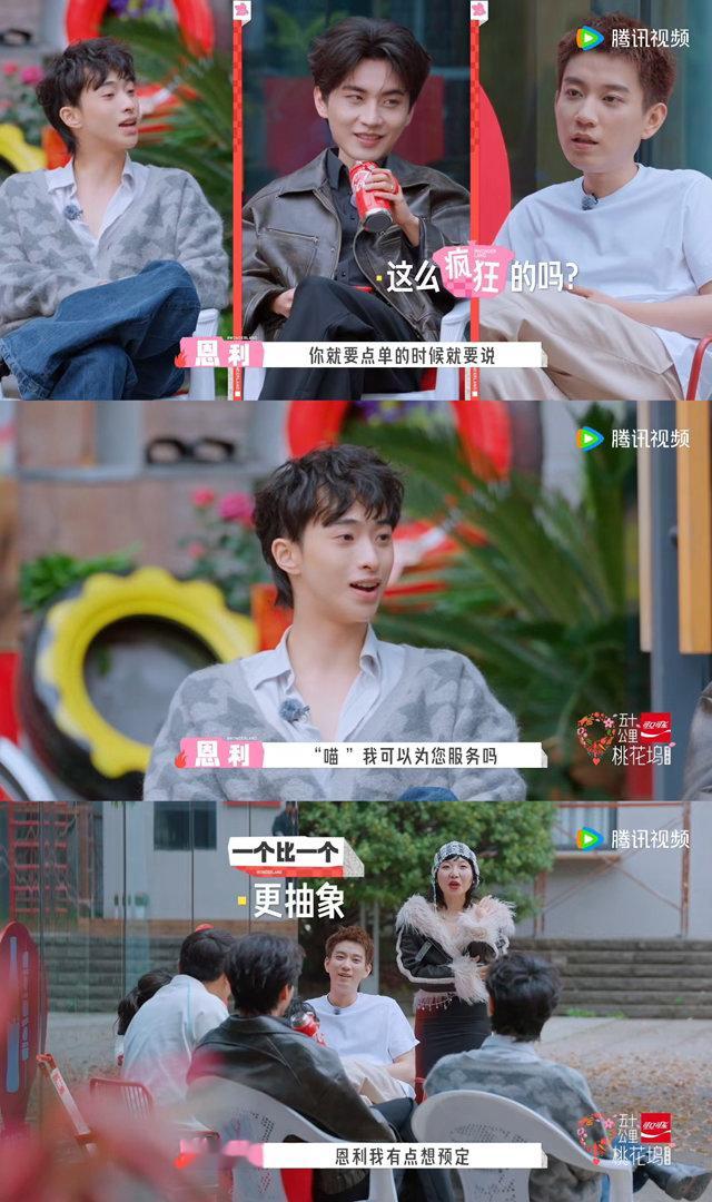 桃花坞闹猫了五十公里桃花坞 别人赚钱靠才华，桃花坞赚钱靠喵言喵语。建议节目组出个