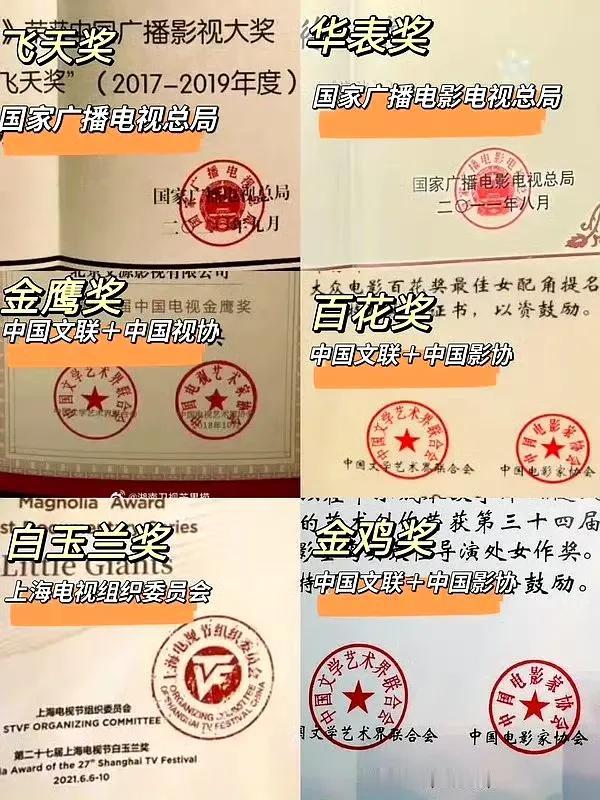 赵丽颖拿了飞天金鹰百花，不仅仅只是拿奖，代表的是完全被主流业内认可。

飞天＝总