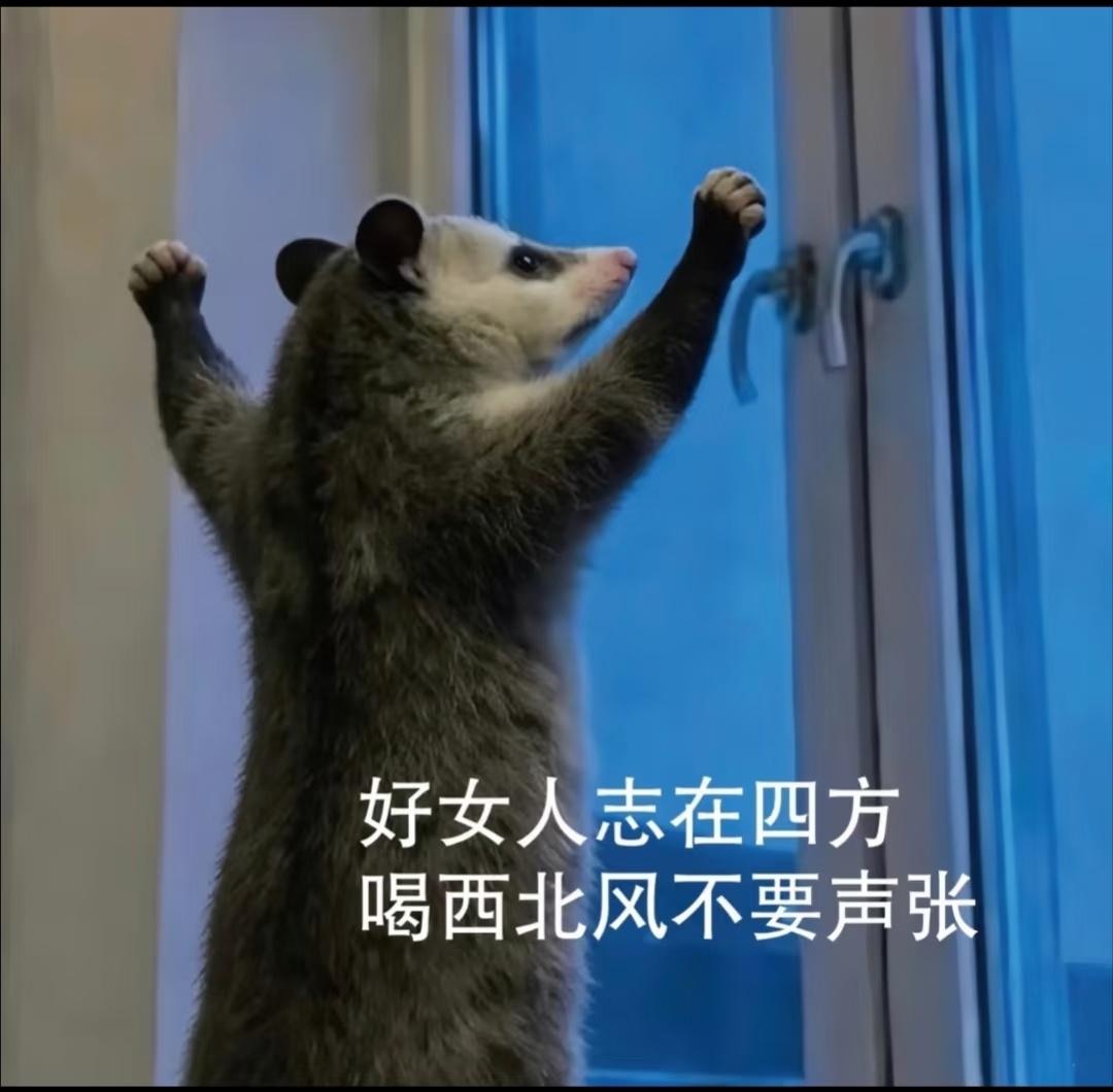 班主任说要解散班级群突然想到我初中到大学的班群，虽然都没解散，但是也不会有人再发