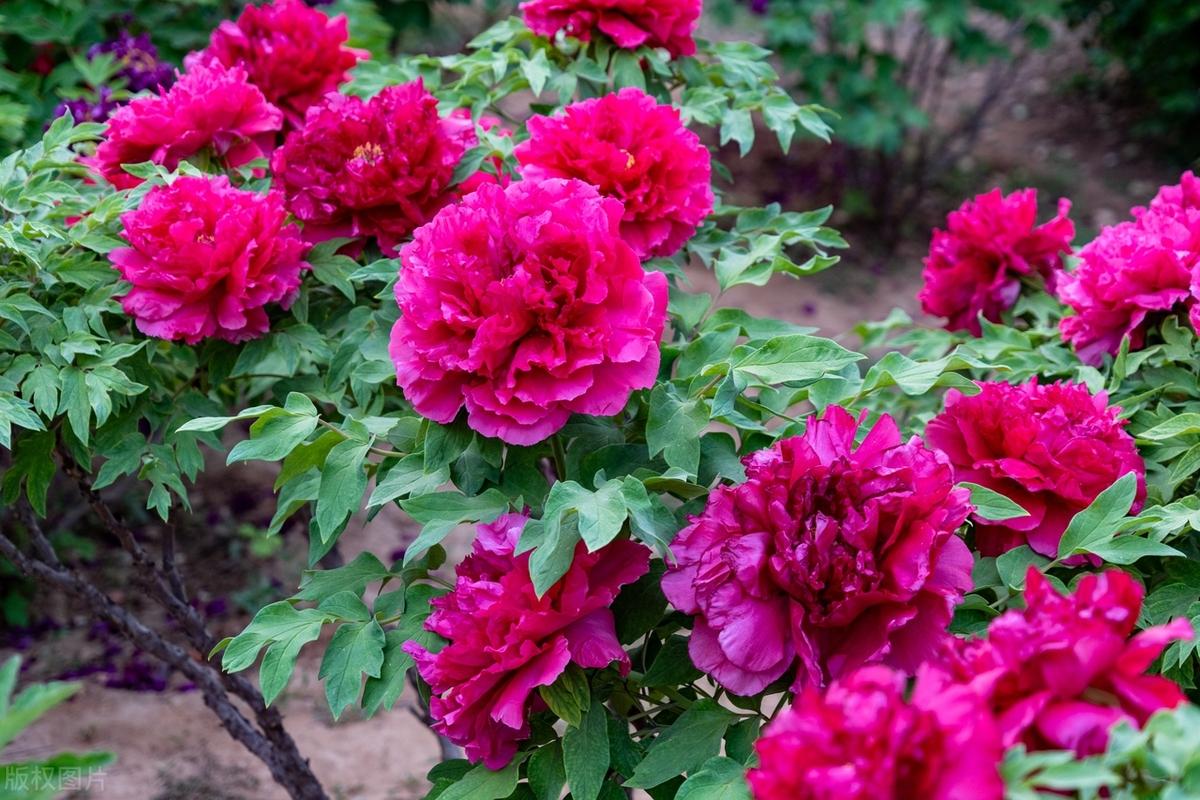 生就是一场旅行，不在乎目的地，只在乎沿途的风景。生命旅程不可知，但求无悔走一遭，