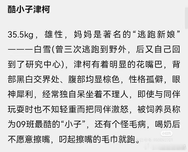 祝津柯大帅熊生日快乐！它是灵岩、莽小五的爸爸熊哦！ ​​​