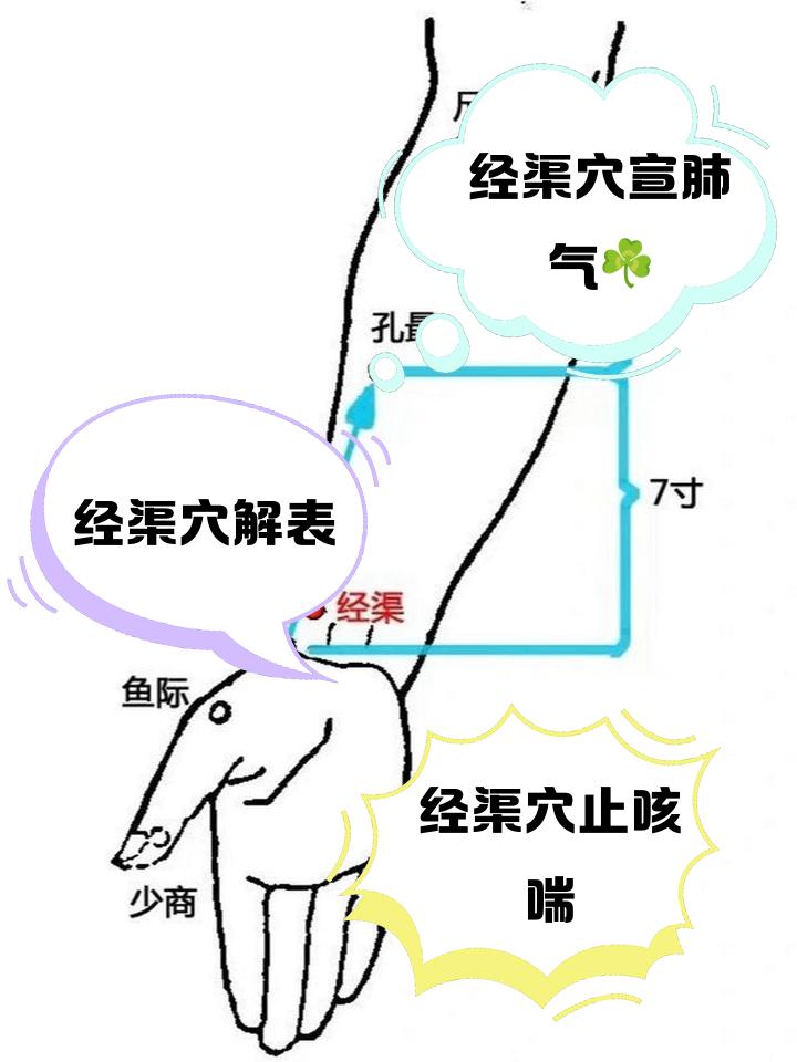 经渠穴：肺经“经气所发”之穴，止咳定喘的“隐形高手”
 
作为手太阴肺经的经穴（