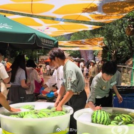 景区10000斤免费西瓜游客吃嗨了 西安·华严寺