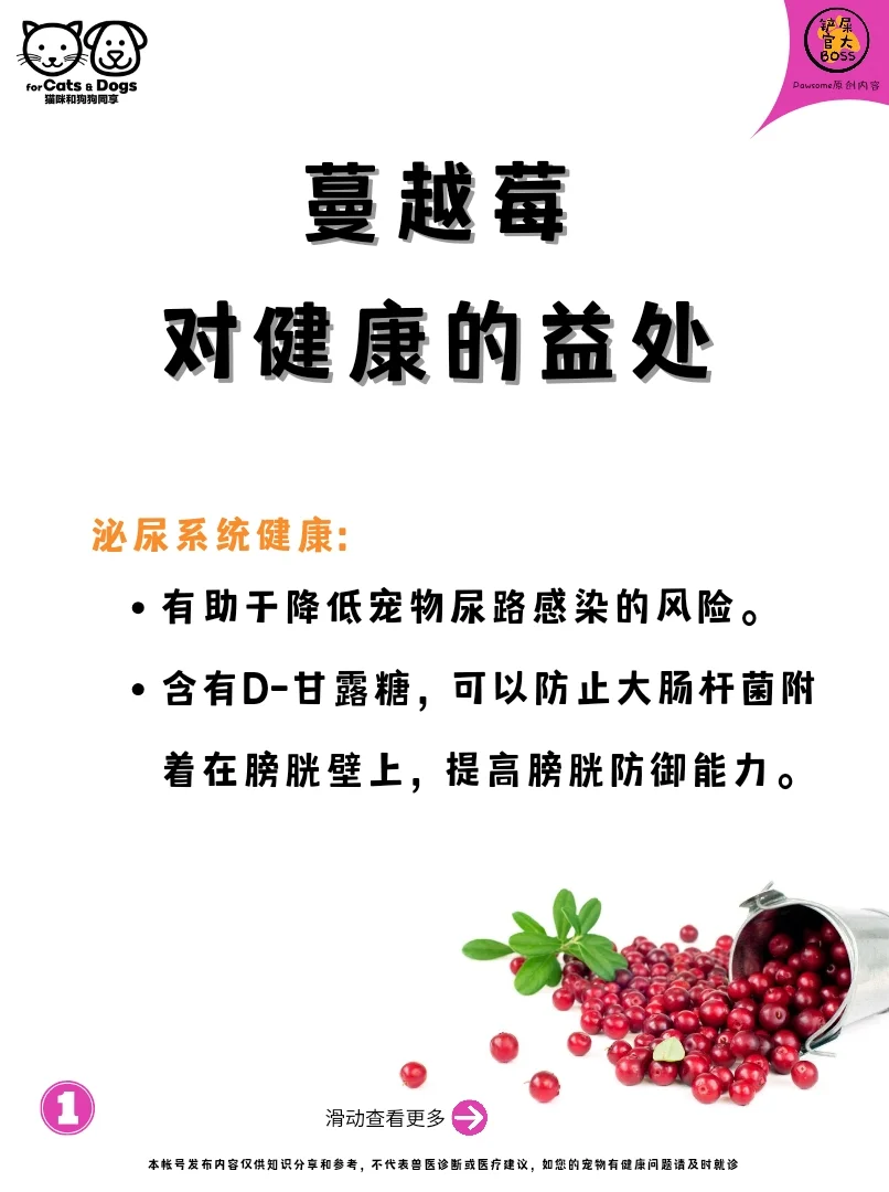 蔓越莓