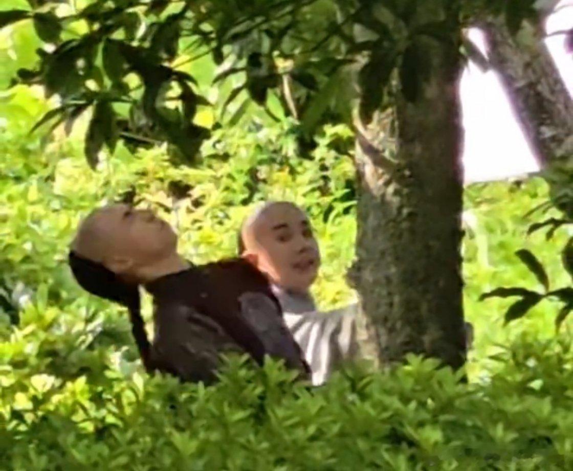 今天看到视频 才知道罗一舟鼻子原来是胡连馨伤的 