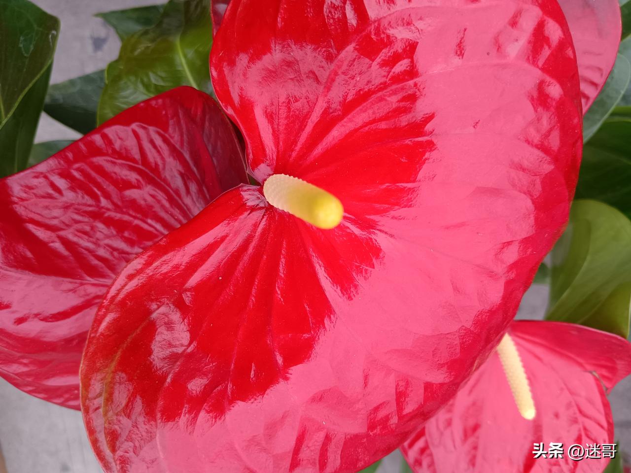 人生要达到什么境界才能心态平和?

真正心态平和，不是没情绪、没欲望，而是看得透