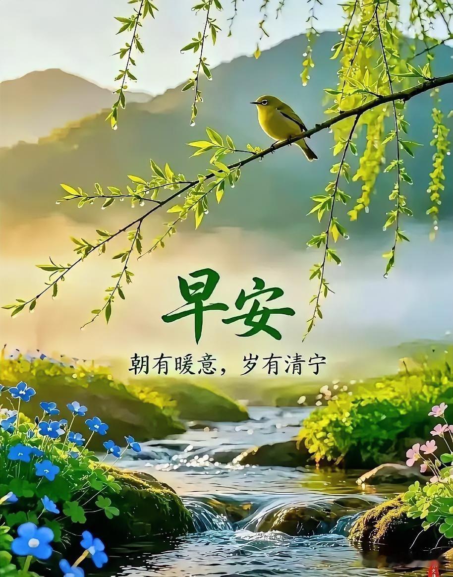 早安，愿你似这清晨般清新静谧。🌿🌸治愈系早安语 春日早安仪式感 清晨问候图 