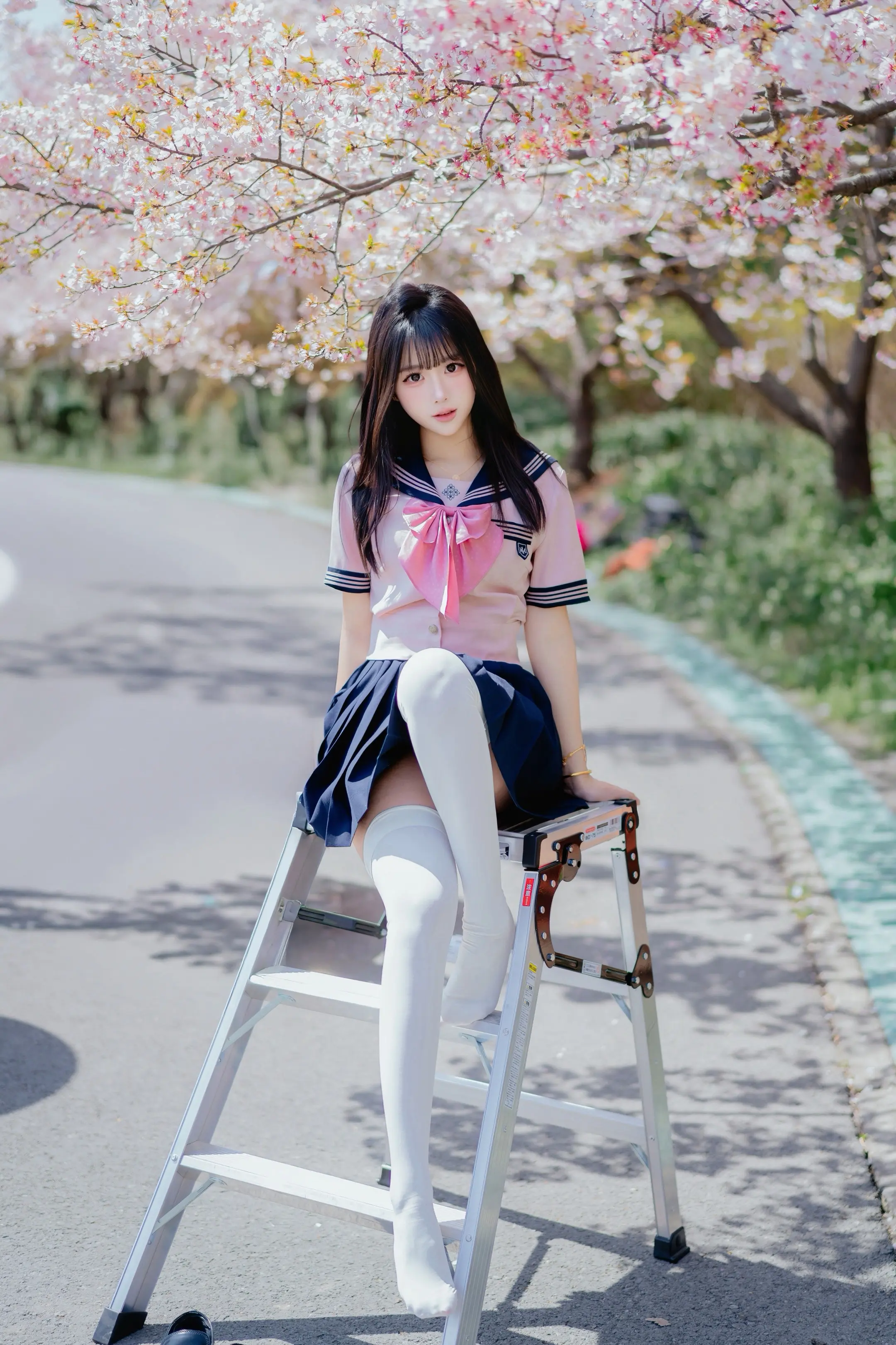 Sakura rainっ⩊＜🌸。