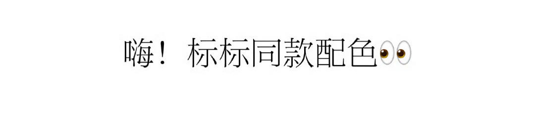 宋亚轩熊猫玩偶是鼠标同款配色 嘿嘿，又被这小孩轻而易举的可爱到了[淡淡的] 