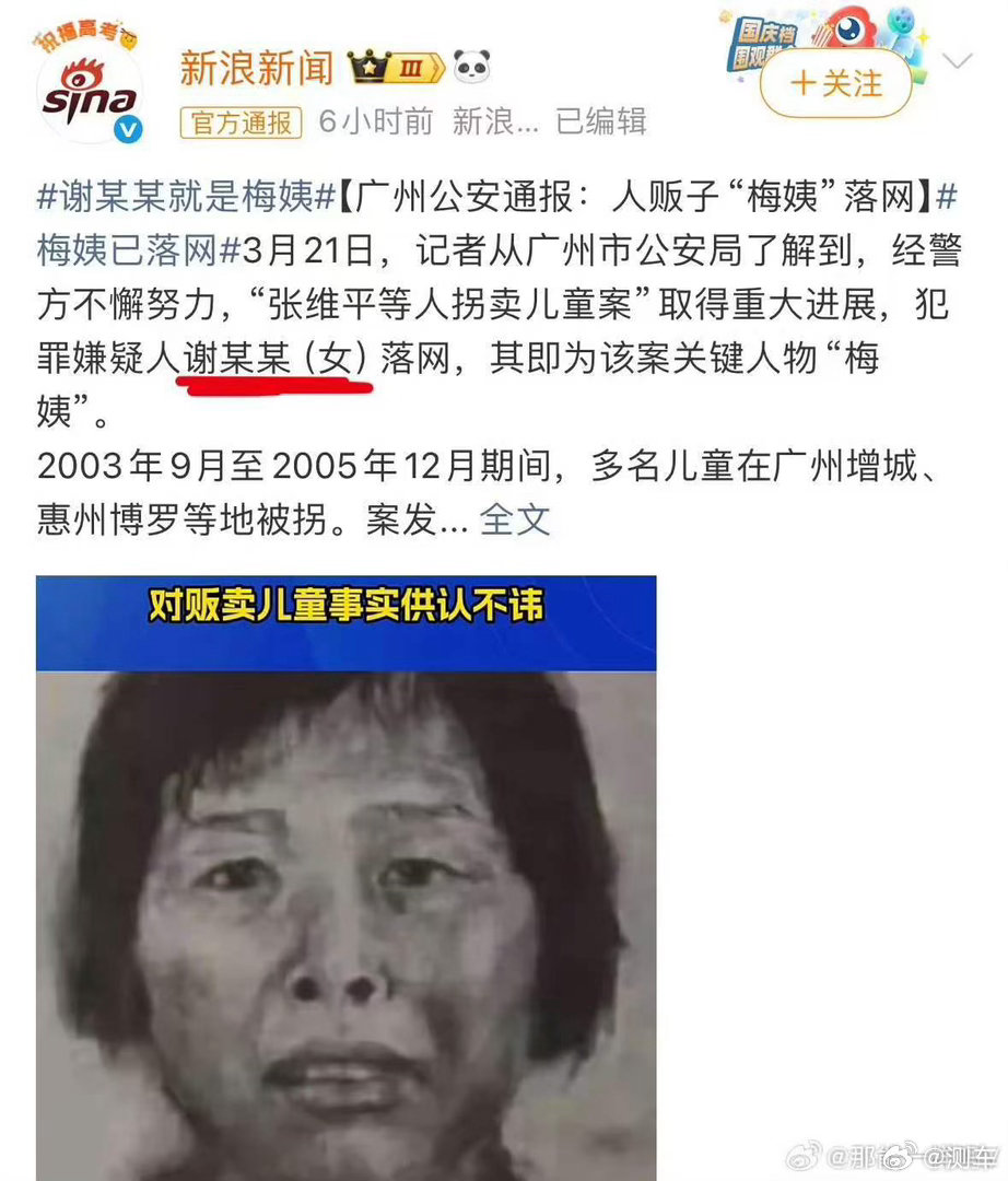 梅姨被逮捕 终于落网了，潜逃多年的人贩子被捕真的太解气了，正义虽迟，但愿所有被拐