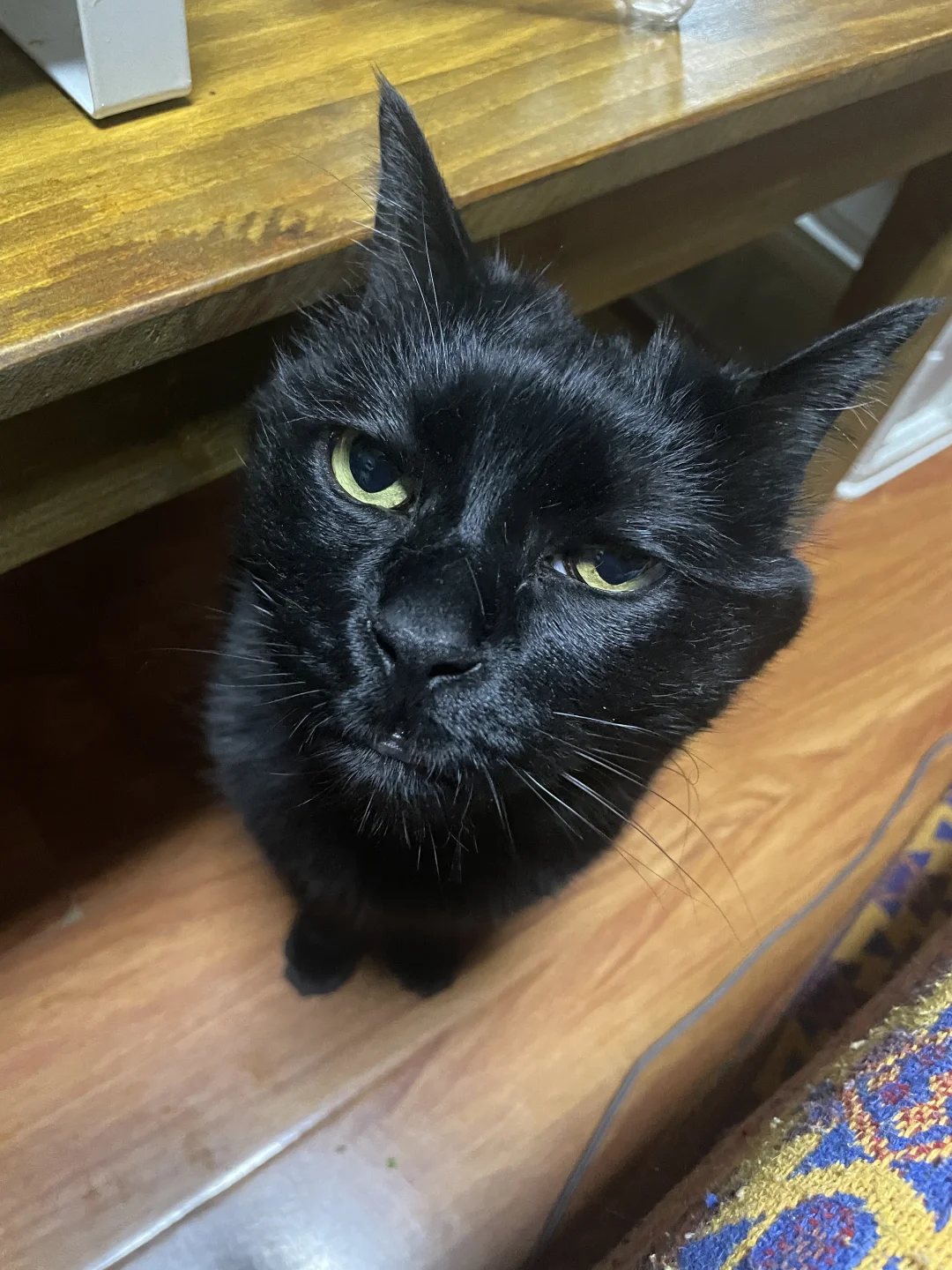 你好，我是隔壁刘阿姨介绍来和你结婚的